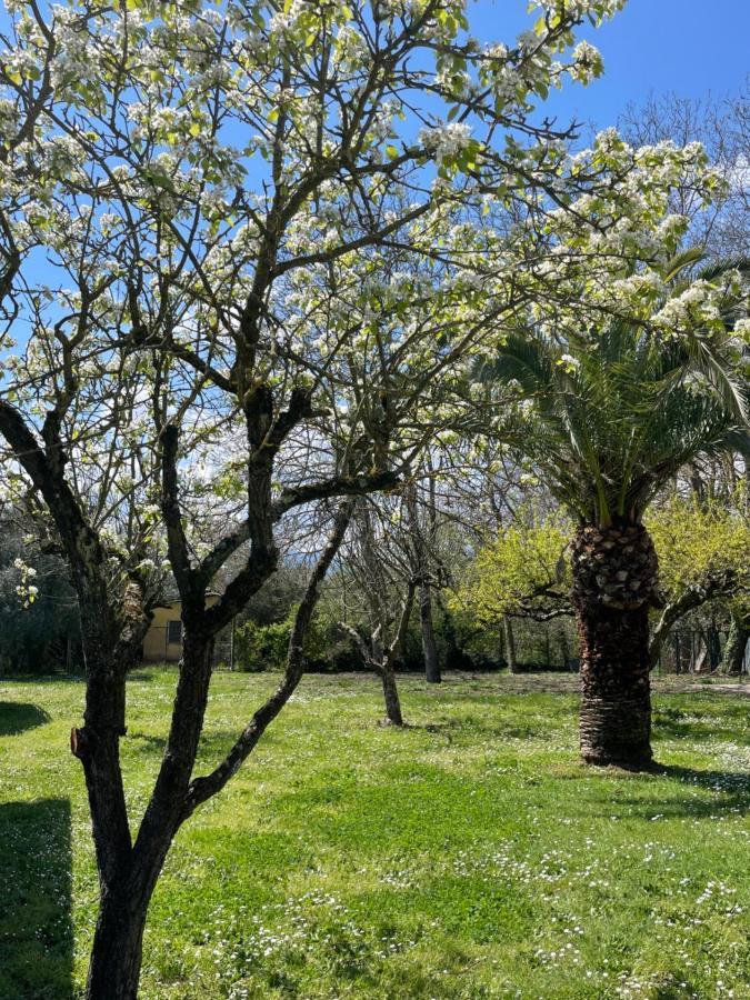 B & B Casal Pereto Valmontone Exteriér fotografie